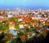 U požaru izgorela strugara