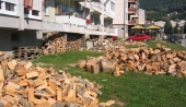 Drva sa juga Srbije greju Grke