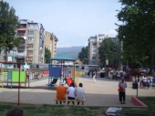 Udruženje za brigu o potomstvu