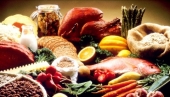 Tribina o štetnosti GMO u Nišu
