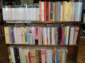 Sve siromašniji fond niških biblioteka