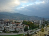 Najezda insekata na Sarajevo