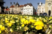Deklaracija protiv korišćenja GMO