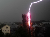 Grom ubio starca i njegove krave