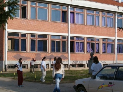Škola Trajko Stamenković