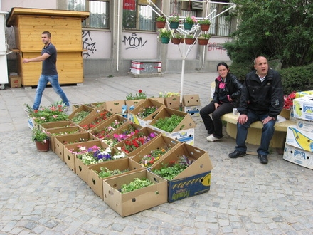 prodavci cveca u centru grada