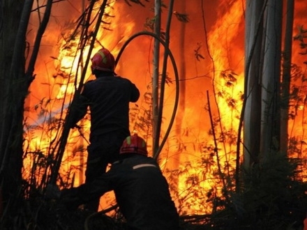 Brda oko Dimitrovgrada u plamenu (Ilustracija)