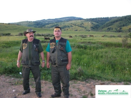 Zelena mreža, Vasilev desno 