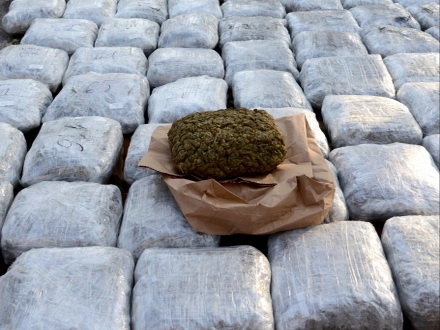 zaplenjena velika kolicina marihuane na prelazu Presevo-ilustracija