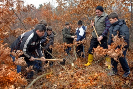 Po šumama i gorama: Sečenje Badnjaka u okolini Vranja 