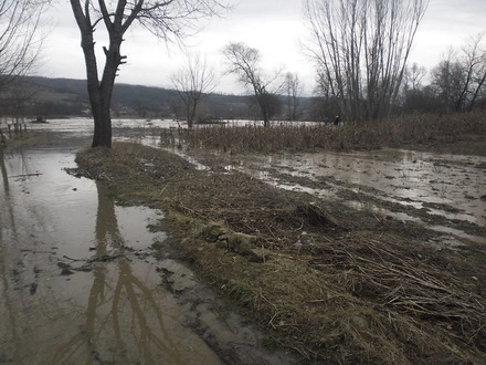 poplavljena polja u Repincu
