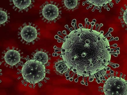 Virus gripa H3N2 foto skandalozno.rs