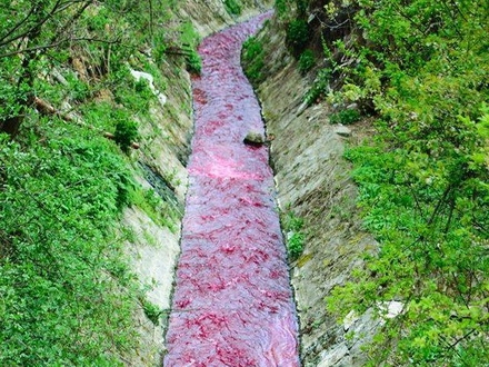 pocrvenela Sobinska reka u Vranju - foto: facebook