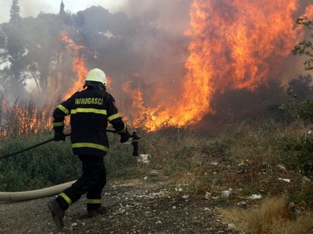 vatrogasci imaju pune ruke posla FOTO: Srećko Niketić / Cropix