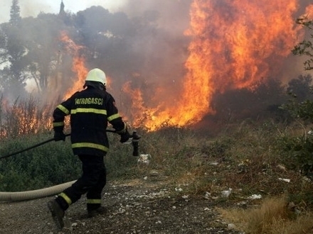 Zaustavljeno širenje vatre. FOTO: Srećko Niketić / Cropix 