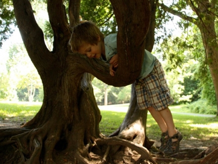 Drvo će zalivati roditelji, a kasnije i samo dete; Foto: flickr.com/Alison Henry