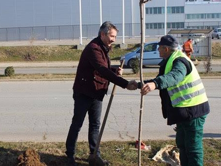 Grdaonačelnik Milenković zasadio prvo stablo. Foto: vranje.org.rs