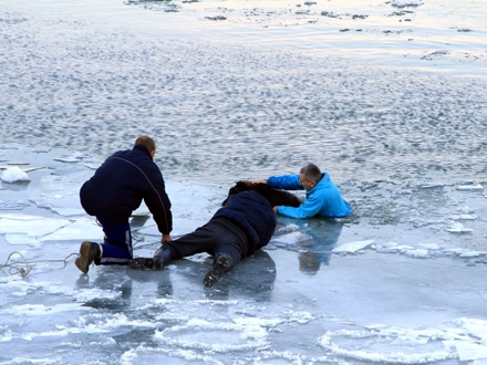 Spasavanje psa iz ledenog Dunava; FOTO: FB