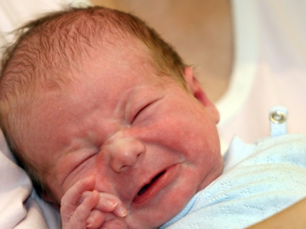 Više beba nego lane. Foto: Guliver/Getty/Thinkstock