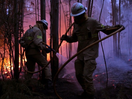 Vetar otežava borbu protiv požara FOTO: AP