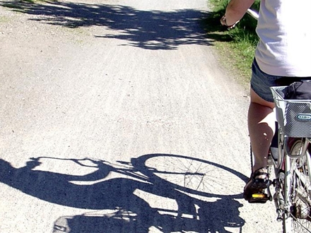 I biciklista i pešak povređeni FOTO: Free Images