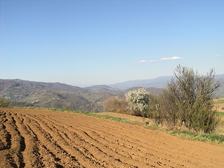 Na delu ozbiljno ugrožavanje poljoprivrednog zemljišta FOTO: S. Tasić/OK Radio