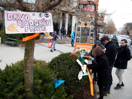 Želje i poruke na drvetu ljudskih prava FOTO: Odbor za ljudska prava Vranje