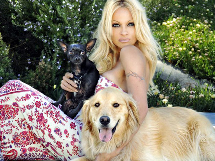 Pamela Anderson se već godinama aktivno bavi zaštitom životinja FOTO: Image Splash