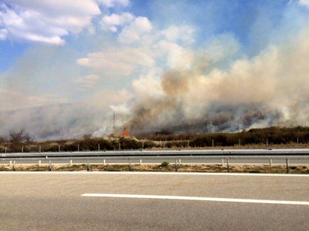 Vatra preti i obližnjoj šumi FOTO: S. Tasić/OK Radio