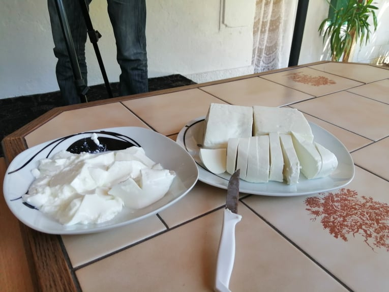 Kiselo mleko i sir od mleka bivolica. Foto. S.Tasić/OK Radio