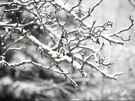 Zima bi mogla biti nešto hladnija FOTO: Pixabay
