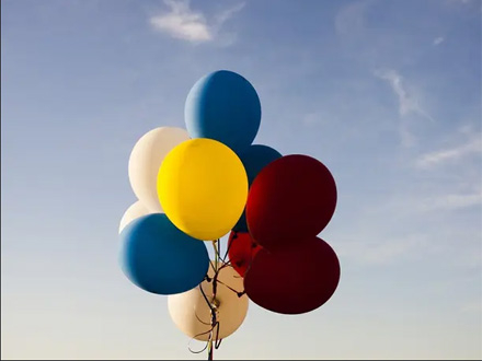 Za psa je vezao helijumske balone FOTO: Pinterest