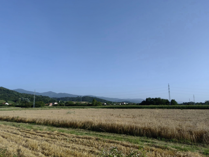 Foto S.Tasić/OK RADIO