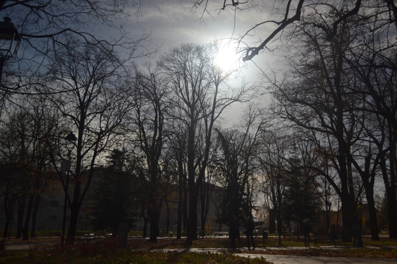 Foto:OK radio,G.Mitić