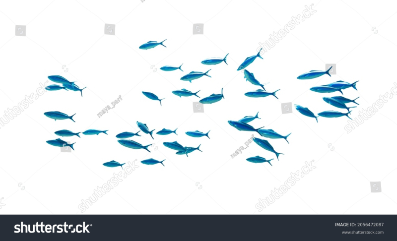 Foto: Shutterstock