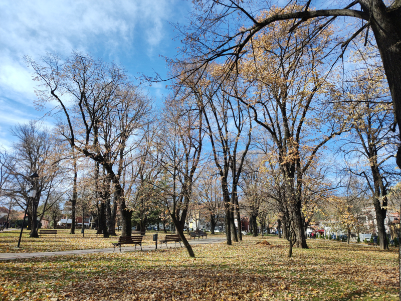 Foto: Ok radio, M.Spirić