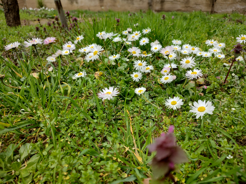 Foto: OK Radio, M.Spirić