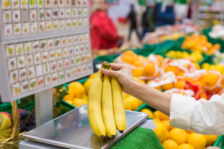 Foto: Cat Us/Shutterstock