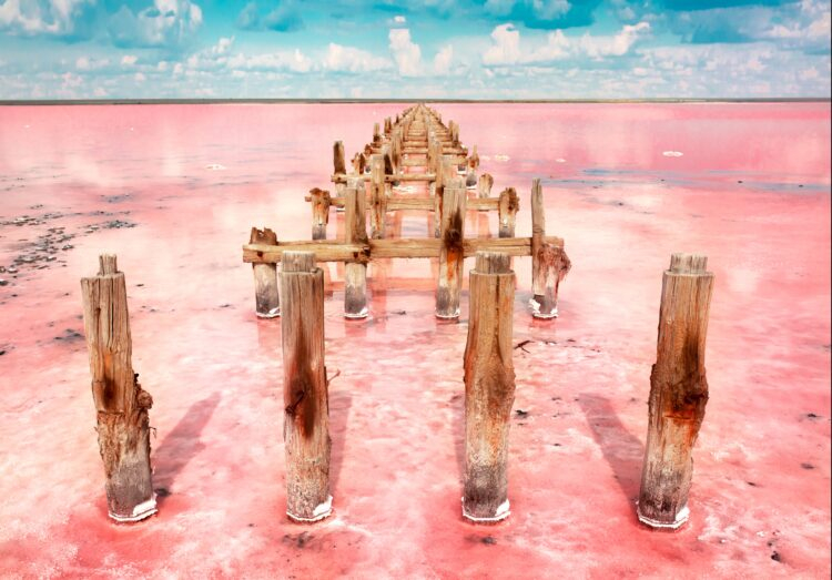 Foto: Vera Larina/Shutterstock