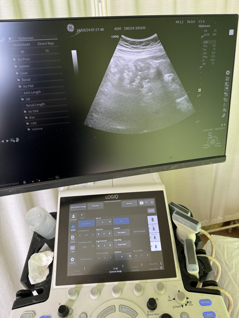 Foto: S.Tasić/OK Radio