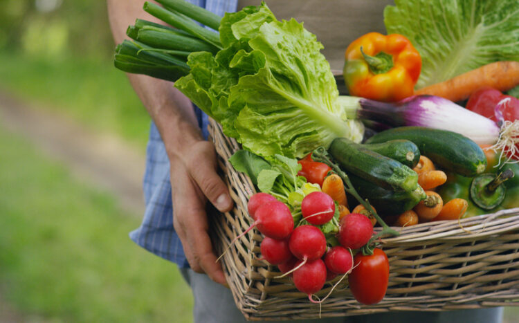 Foto: Shutterstock/Kitreel