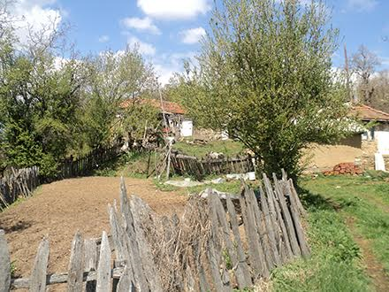 Foto: S.Tasić/OK Radio Foto: S.Tasić/OK Radio