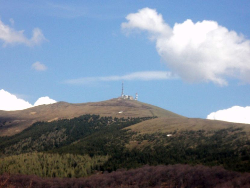 Foto: S.Tasić/OK Radio