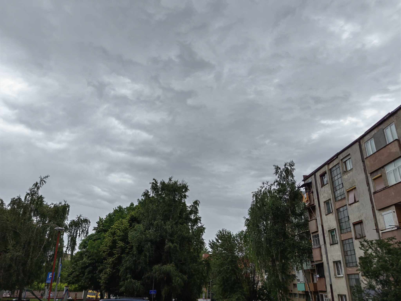 Foto: S.Tasić/OK Radio