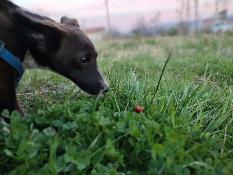 Foto: OK Radio, M.Spirić