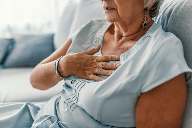 Foto: Shutterstock/Dragana Gordic