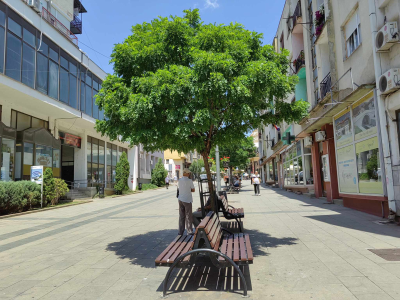 Foto: S.Tasić/OK Radio