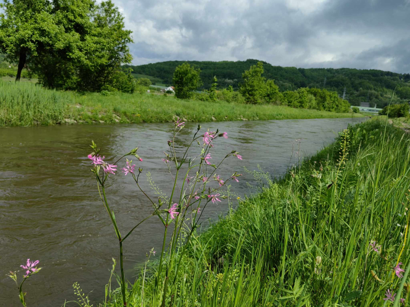Foto: S.Tasić/OK Radio Foto: S.Tasić/OK Radio