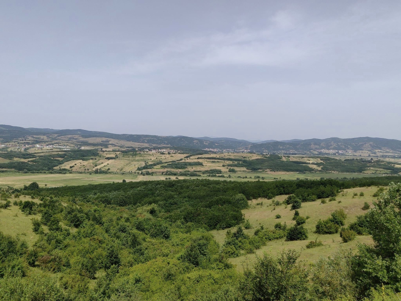 Foto: S.Tasić/OK Radio