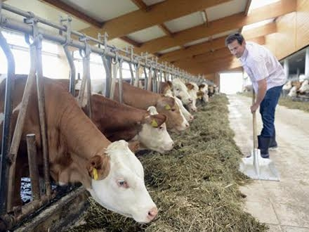 Foto:Ilustracija, Thinstock